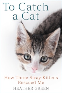 Front cover_To Catch A Cat
