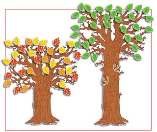 Front cover_Classroom Tree! Bulletin Board Set
