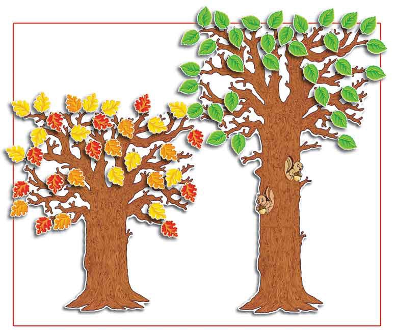 Front cover_Classroom Tree! Bulletin Board Set