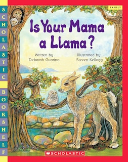 Front cover_Is Your Mama A Llama?