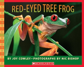 Couverture_Red-eyed Tree Frog