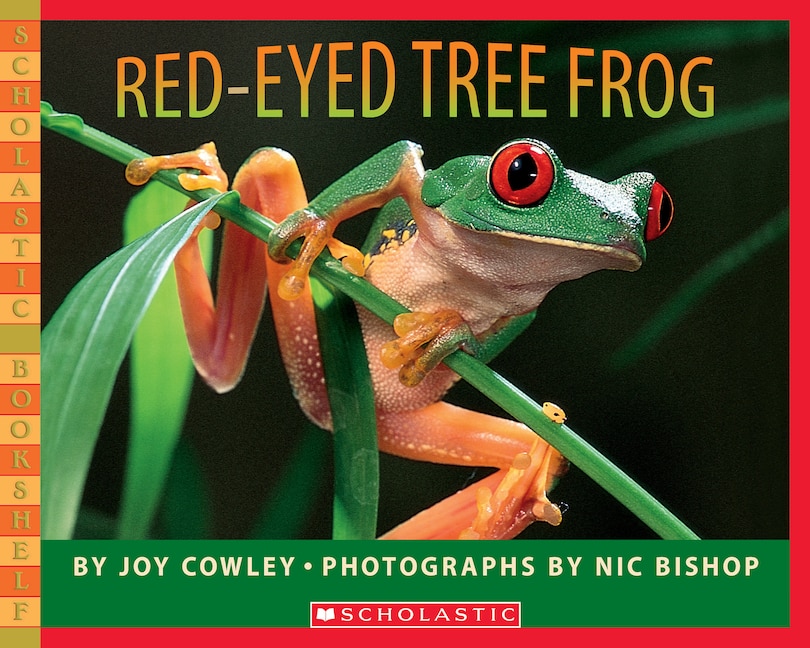 Couverture_Red-eyed Tree Frog