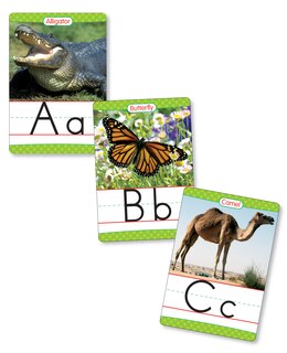 Front cover_Animals From A to Z Alphabet Set: Manuscript