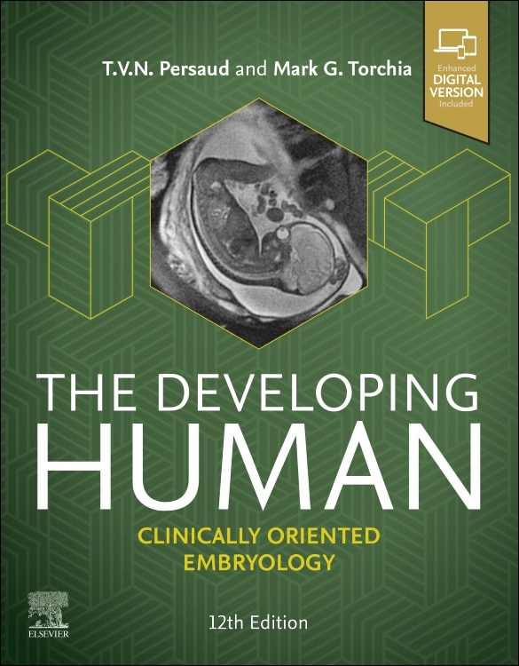 Front cover_The Developing Human