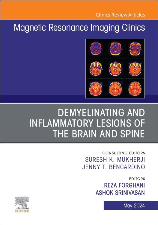 Front cover_Demyelinating and Inflammatory Lesions of the Brain and Spine, An Issue of Magnetic Resonance Imaging Clinics of North America, 1e