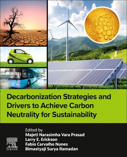 Couverture_Decarbonization Strategies and Drivers to Achieve Carbon Neutrality for Sustainability