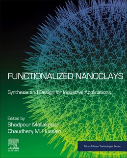 Couverture_Functionalized Nanoclays