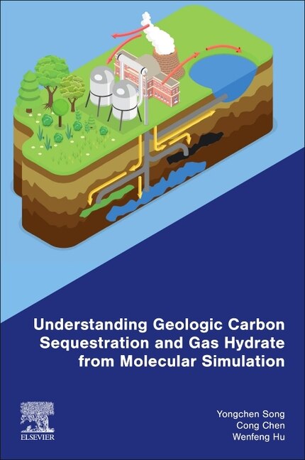 Couverture_Understanding Geologic Carbon Sequestration and Gas Hydrate from Molecular Simulation
