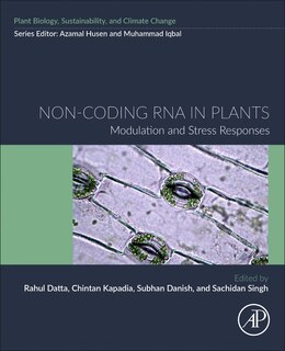 Front cover_Non-coding RNA in Plants