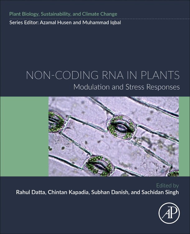 Front cover_Non-coding RNA in Plants