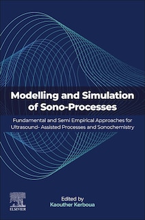 Couverture_Modeling and Simulation of Sono-Processes