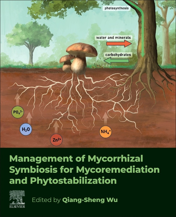 Couverture_Management of Mycorrhizal Symbiosis for Mycoremediation and Phytostabilization