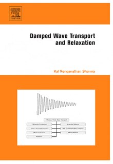 Front cover_Damped Wave Transport And Relaxation