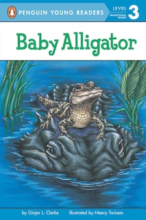 Front cover_Baby Alligator