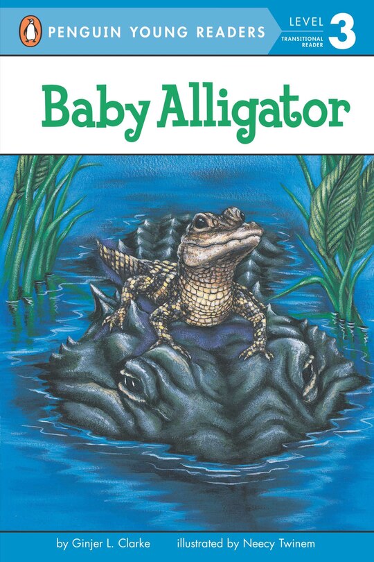 Front cover_Baby Alligator
