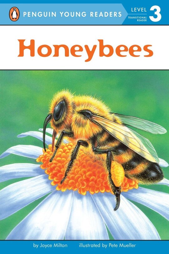 Front cover_Honeybees