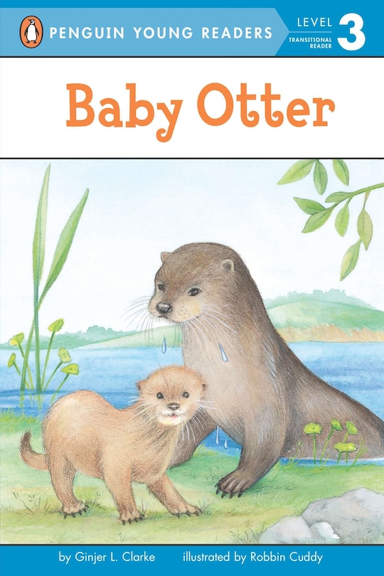 Front cover_Baby Otter
