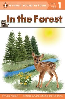 Front cover_In The Forest