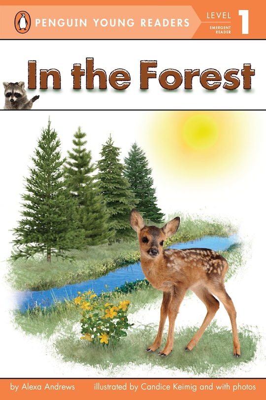 Front cover_In The Forest