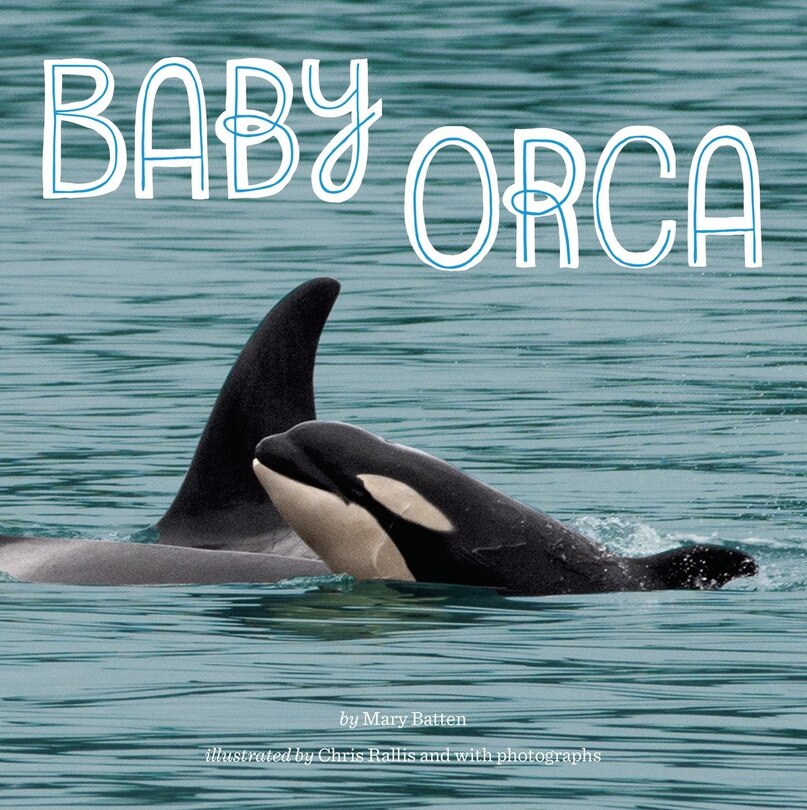 Front cover_Baby Orca