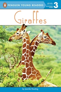 Couverture_Giraffes