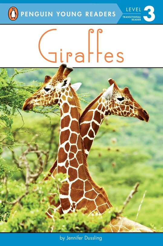 Couverture_Giraffes
