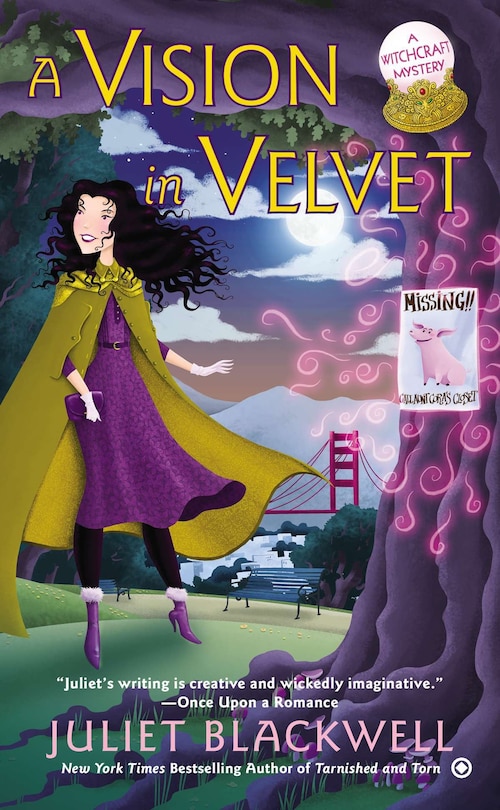 Couverture_A Vision in Velvet