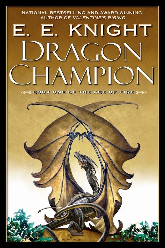 Front cover_Dragon Champion