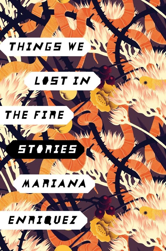 Front cover_Things We Lost In The Fire