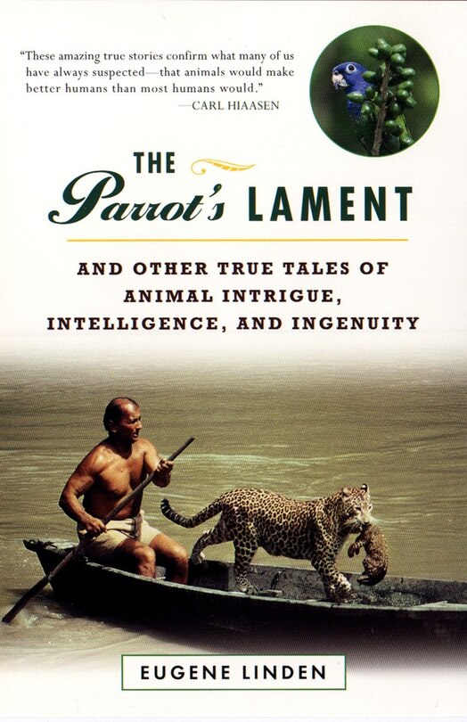 Couverture_The Parrot's Lament