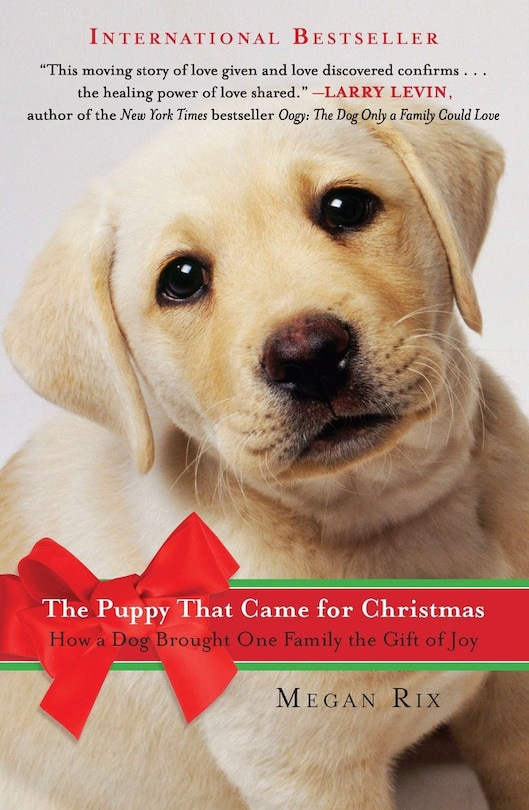 Front cover_The Puppy That Came For Christmas