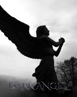 Front cover_Dark Angel Journal