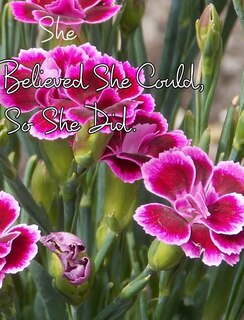 Front cover_She Believed She Could, So She Did