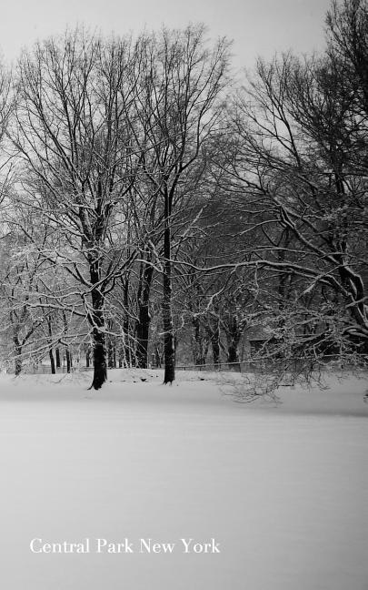 Central Park New York Journal: Central Park New York Blank Journal