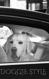 Front cover_Doogie Style Artist drawing Journal