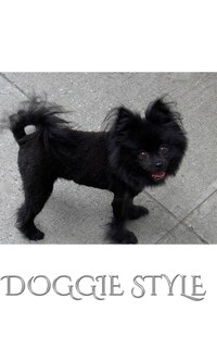 Front cover_Doogie Style Pomeranian Journal