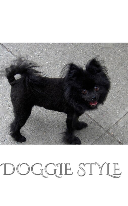 Front cover_Doogie Style Pomeranian Journal