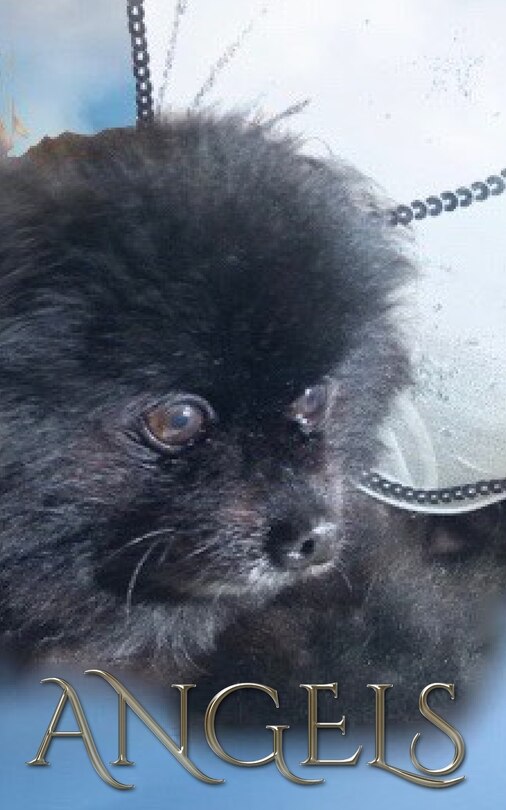 Couverture_Angel dog Journal