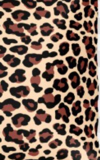 Couverture_Leopard Sir Michael Designer Writing Drawing Journal
