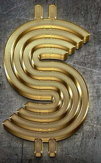 Front cover_Gold Bling Dollar Sign writing drawing Journal