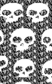 Front cover_$ir Michael Fashion Skull writing drawing Journal