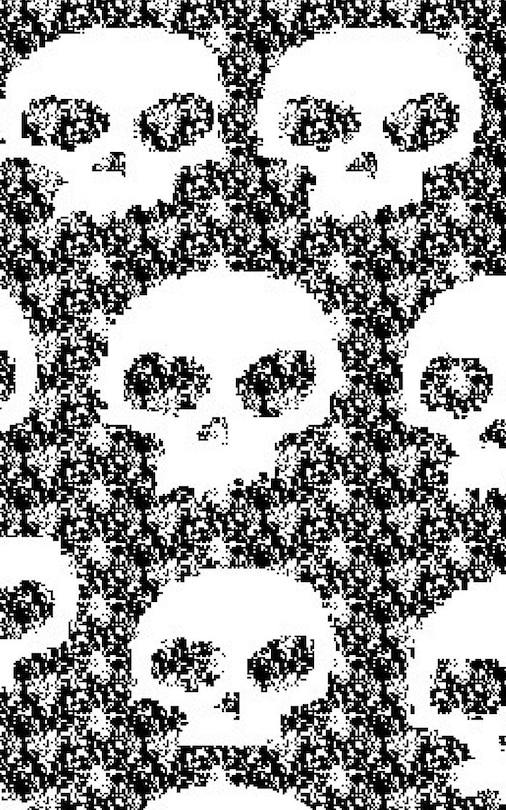 Front cover_$ir Michael Fashion Skull writing drawing Journal