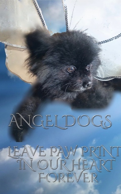 Couverture_Angel Dog in Heaven