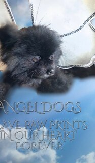 Front cover_Angel Dogs in Heaven