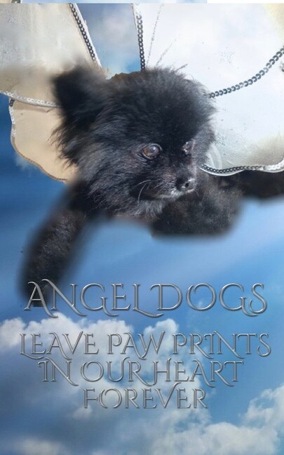 Front cover_Angel Dog in heaven Writing drawing Journal