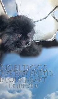 Front cover_Angel Dog Journal