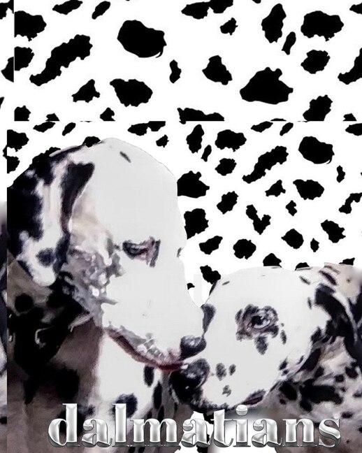 Front cover_Dalmatian fire dogs children's and adults creative journal coloring book