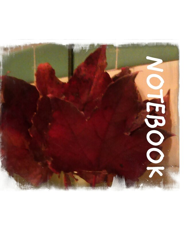 Front cover_Beauty of The Season of Autumn