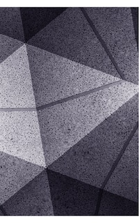 Couverture_The Triangular Fold