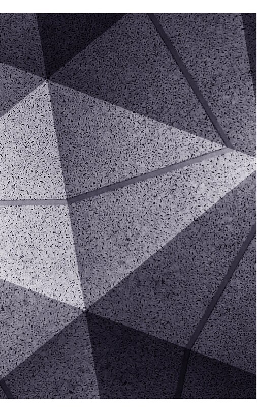 Couverture_The Triangular Fold